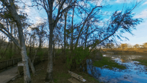 Cullinan Park Sugar Land TX