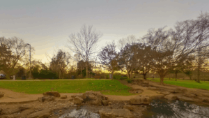 Oyster Creek Park Sugar Land TX